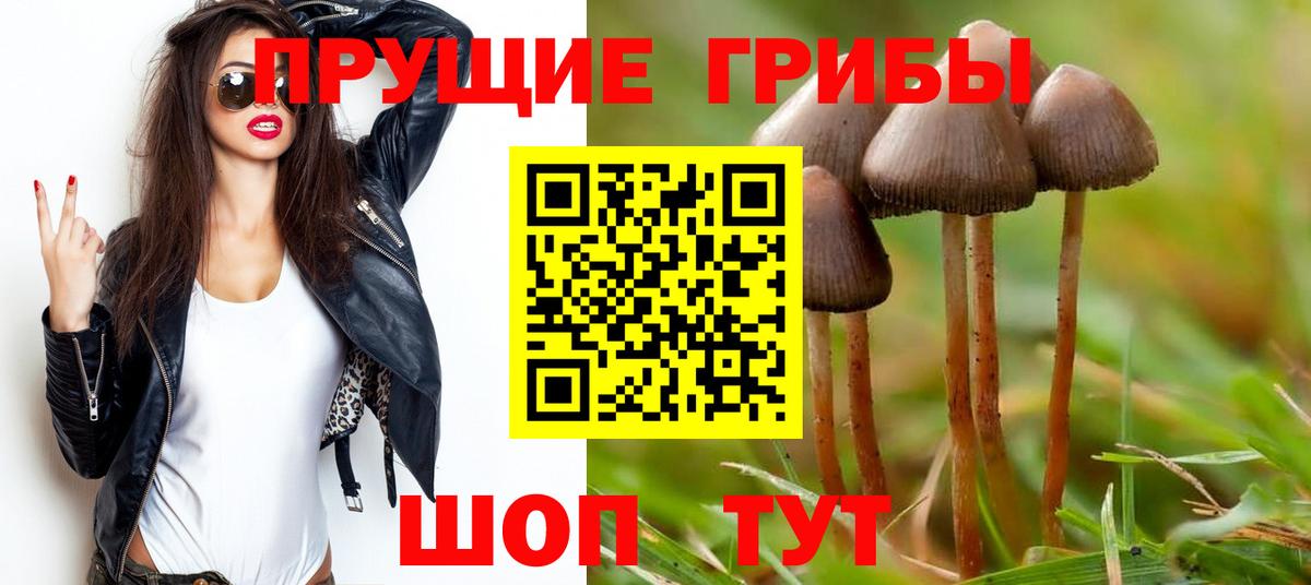 Каспийск  Галлюциногенные грибы Magic Shrooms  Вход с VPN 
